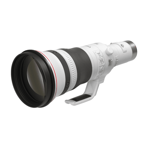 Canon RF 800mm f/5.6 L IS USM Lens