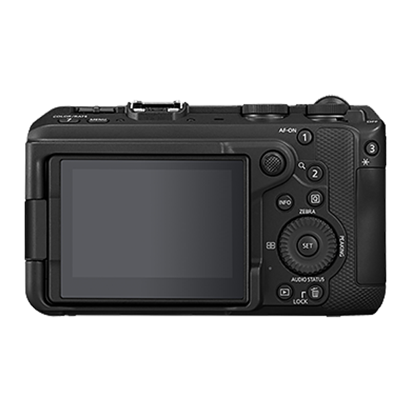Canon EOS R6 V (RF20-50mm f/4L IS USM PZ)
