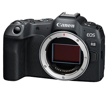 Canon EOS R8 with 24-105 STM combo kit